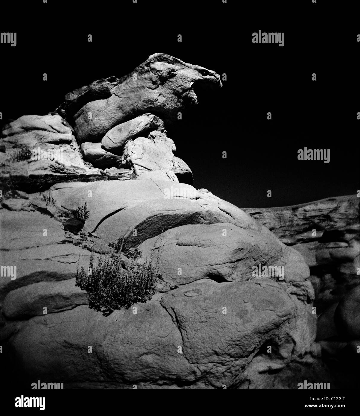 Unusual rock formation photographed with a Holga camera, in the Bisti Wilderness, New Mexico. Stock Photo