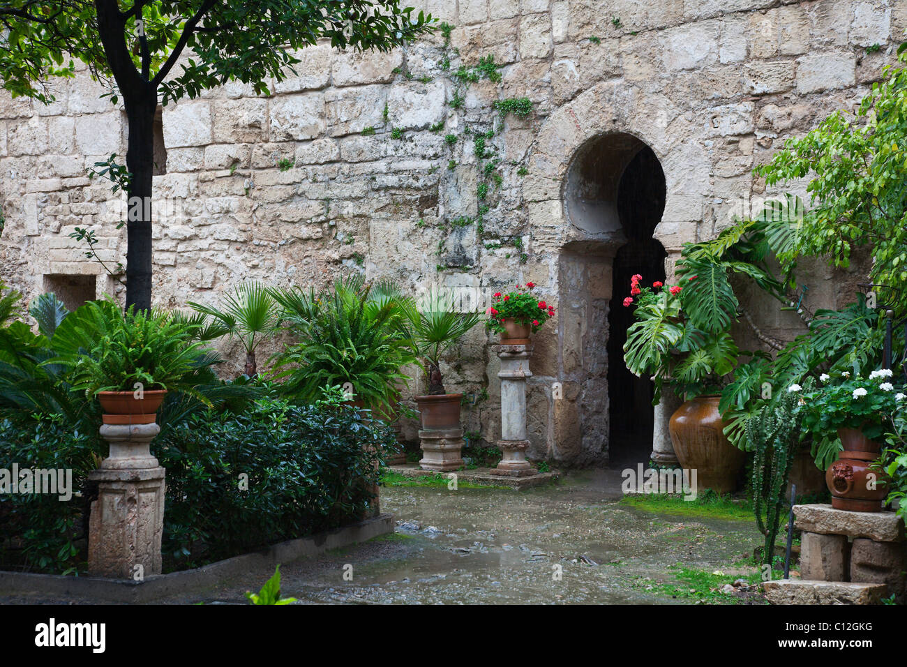 The lush gardens of 10th century The Banys Arabs or Arab Baths in Palma ...