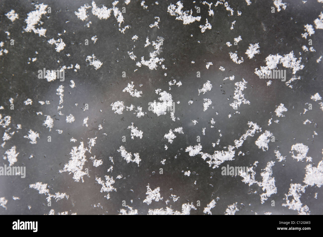 Snow Flakes on a Window Stock Photo