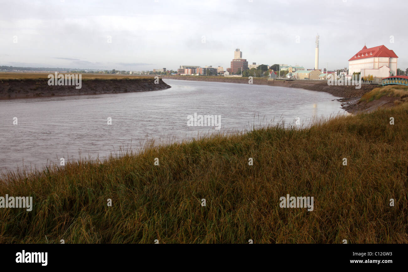 Moncton and the Petitcodiac River Stock Photo Alamy