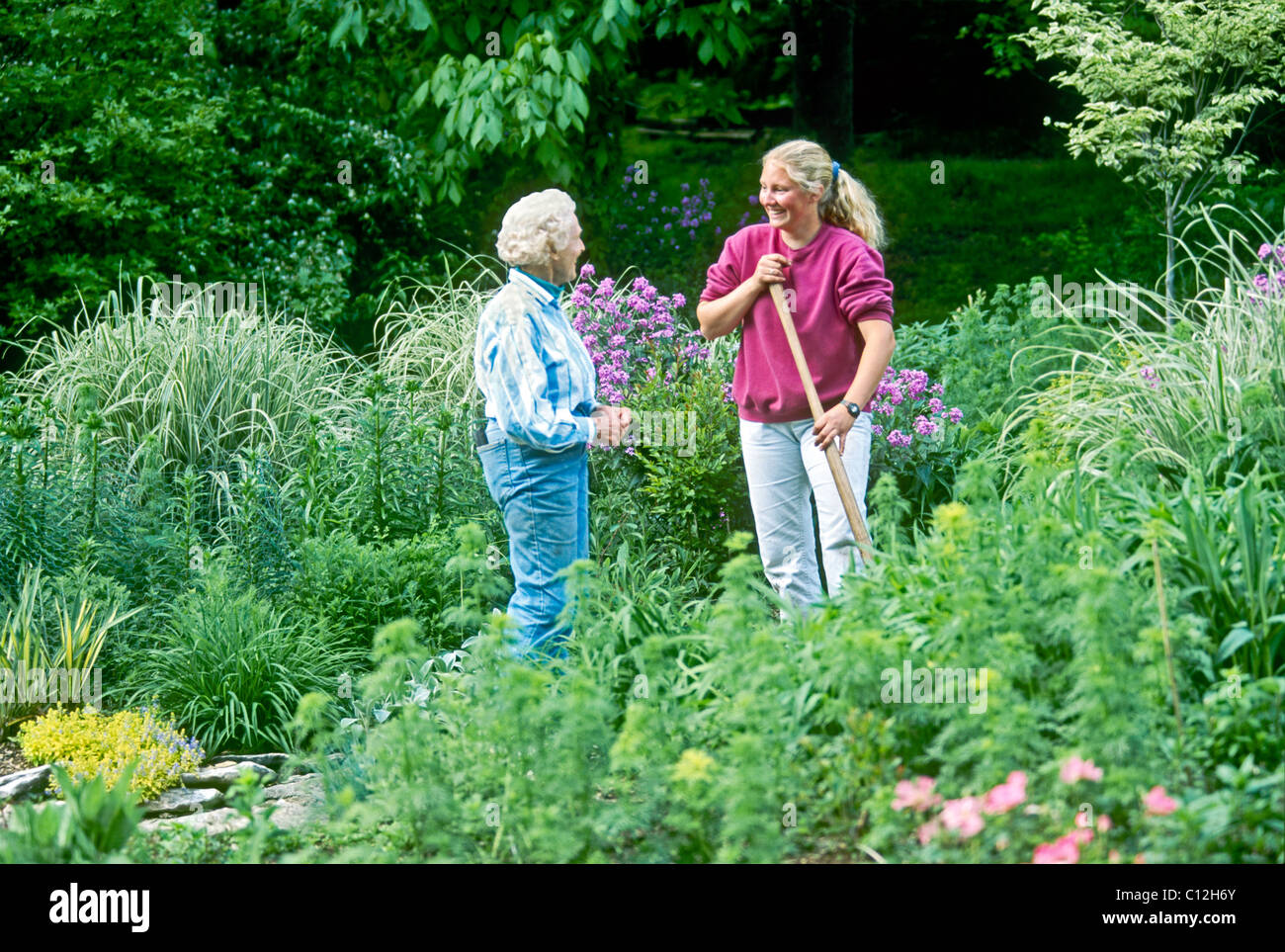 Mature woman and young woman confer in blooming garden on summer evening about gardening Stock Photo