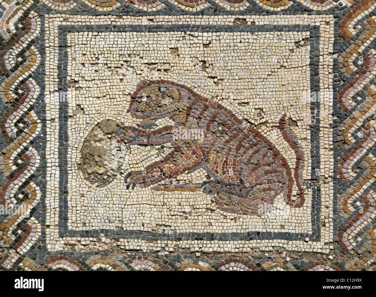 Roman floor mosaics at Italica, Seville, Spain Stock Photo