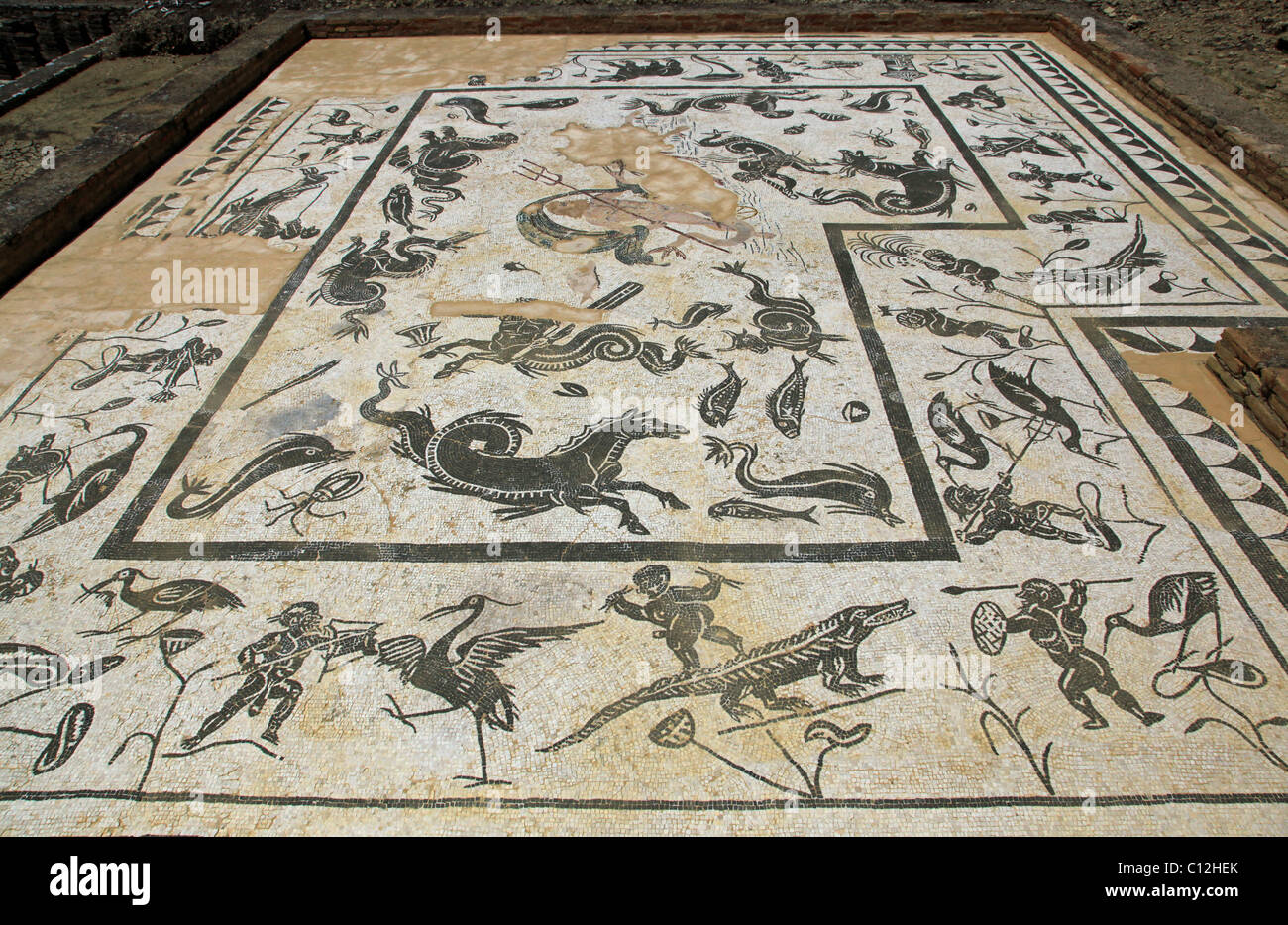 Roman Floor mosaics at Italica, Seville, Spain Stock Photo