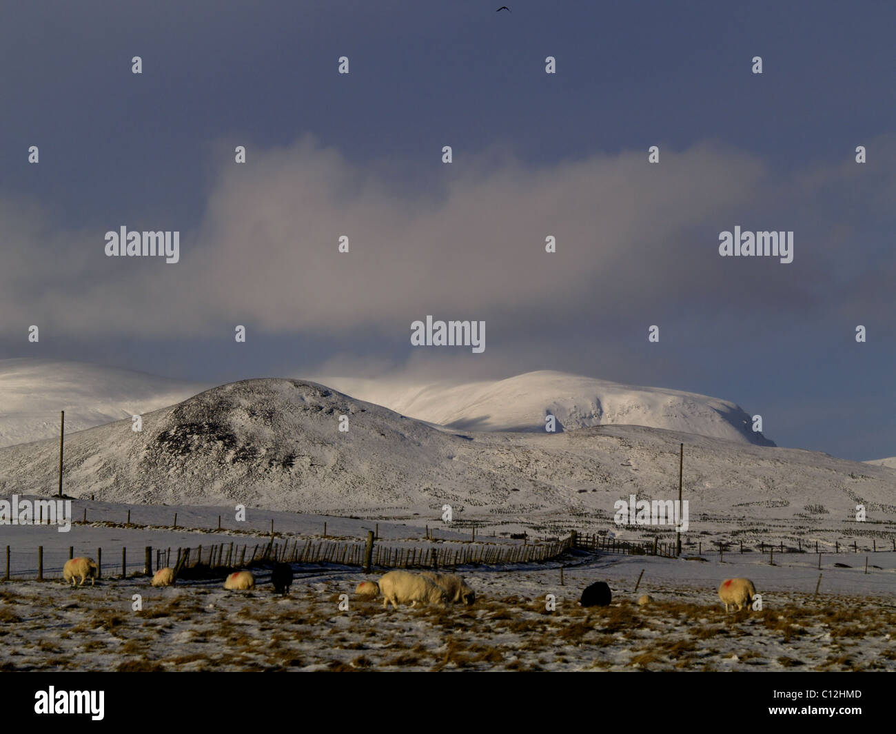A Hill farm in the Scottish Highlands in winter. Stock Photo