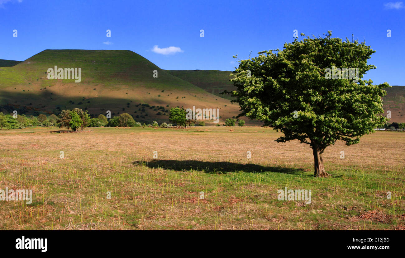 Y-Das viewed from Rhos Fach Common, Near Talgarth, The Black Mountains, Brecon beacons National Park, Mid Wales, Europe Stock Photo