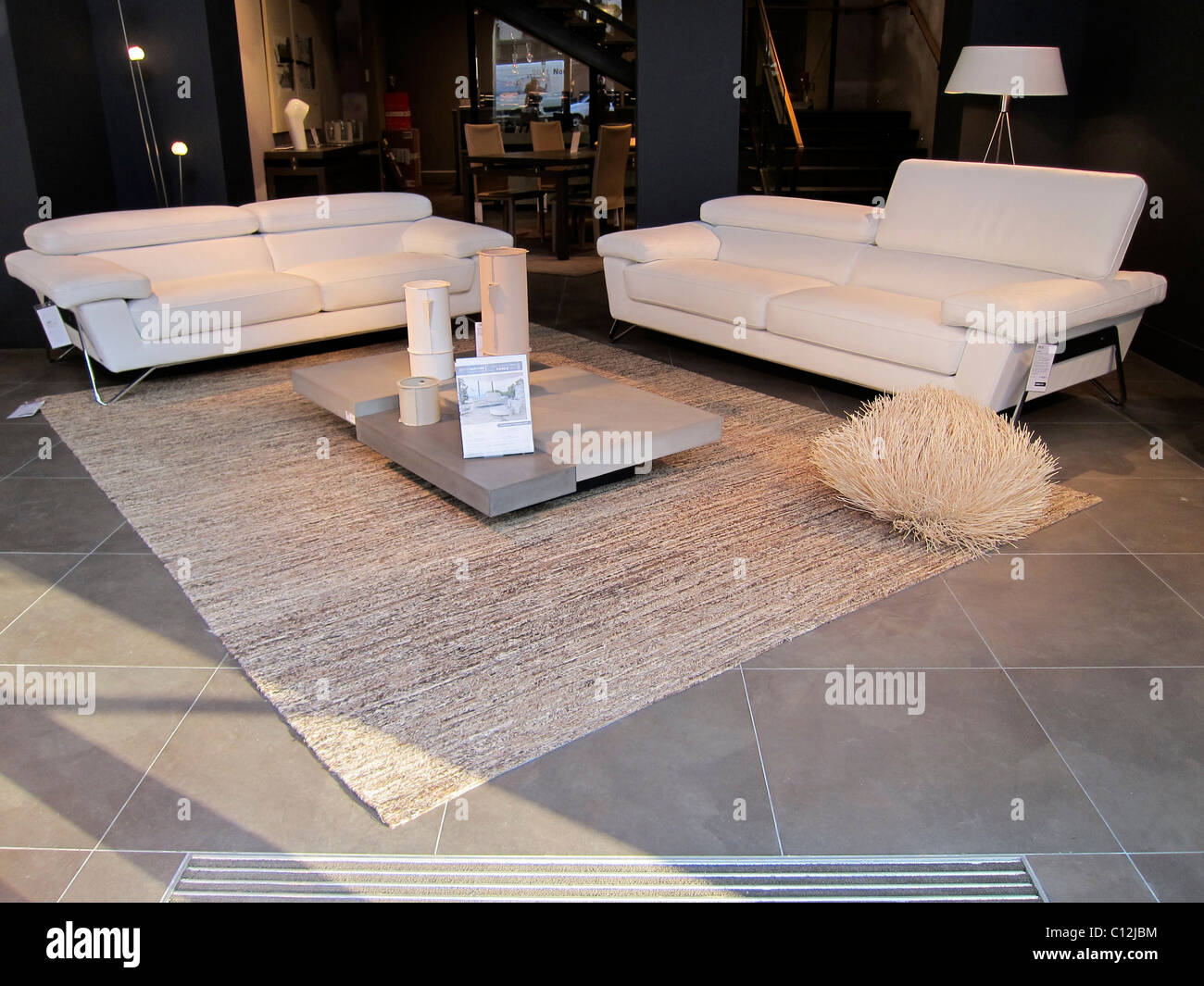 Paris, France, Couch furniture shop interior, Shopping Store inside