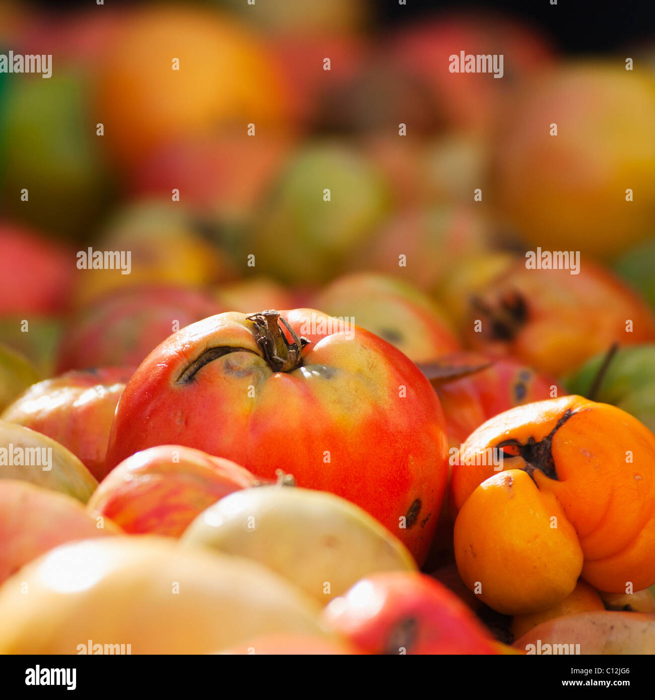 Close up of heirloom tomatoes on market stall Stock Photo - Alamy