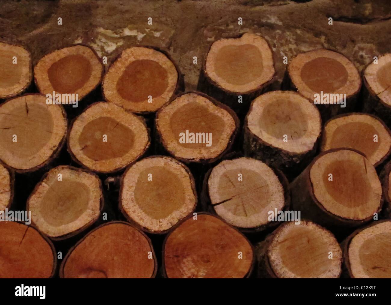 ends of wooden logs stacked up for burning on open fire Stock Photo Alamy