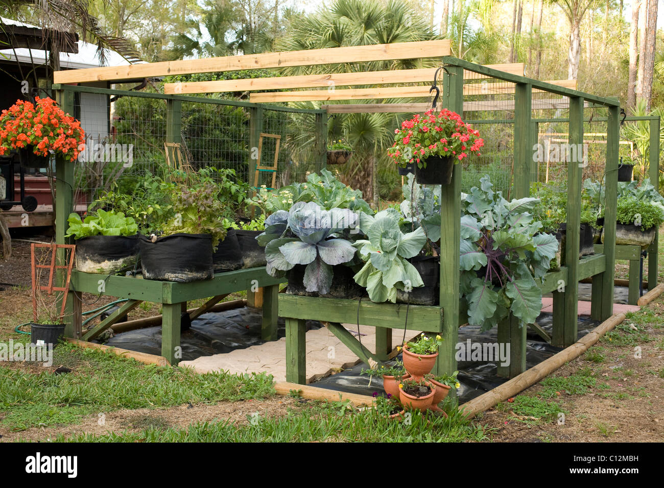 Container gardening is made easier by placing the plants on raised