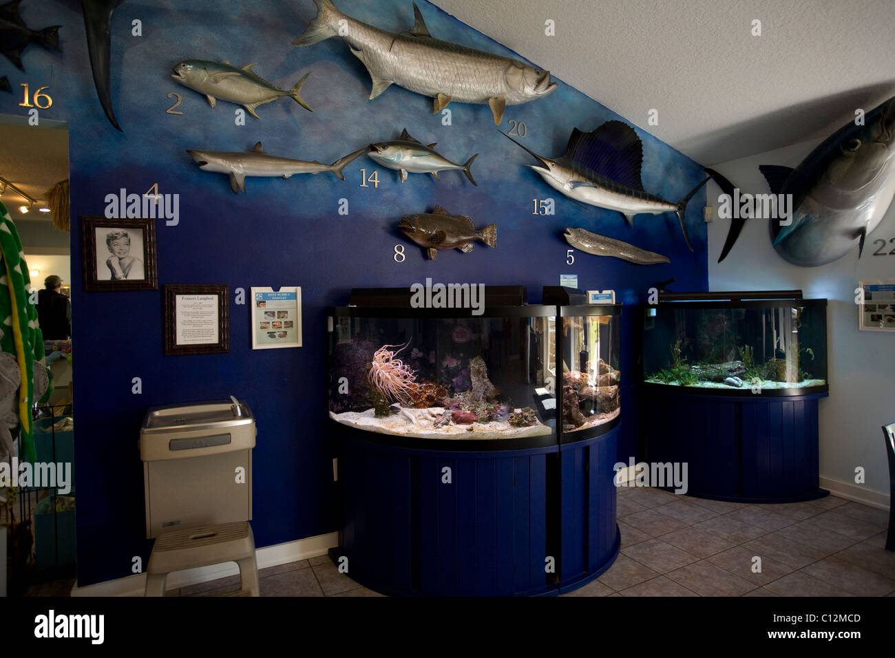 The Florida Oceanographic Coastal Center in Stuart ,Florida houses a