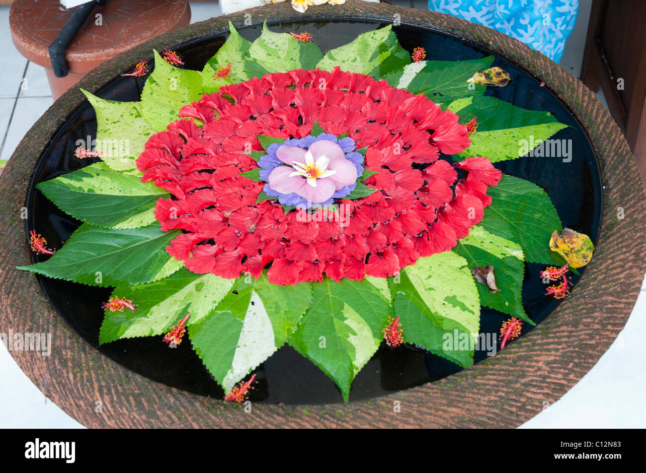 Delicate arrangement of petals and leaves floating in a basin of water outside a shop in Ubud, Bali, Indonesia Stock Photo