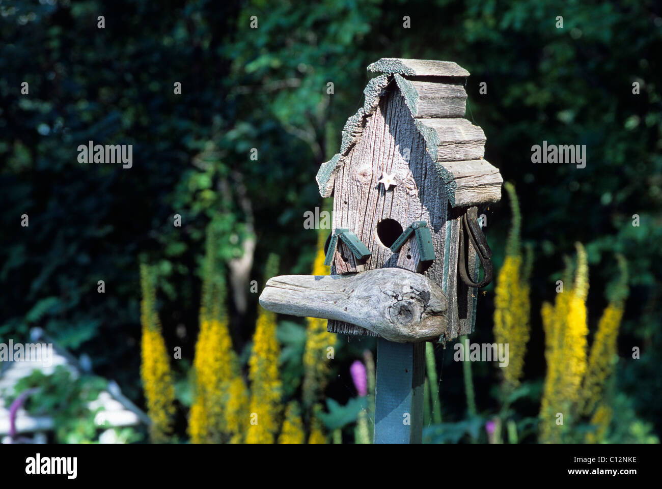 WEATHERED WOOD BIRDHOUSE IN MIDWESTERN U.S. GARDEN.  LIGULARIA  OR GOLDEN ROCKETS IN BACKGROUND.  SUMMER. Stock Photo