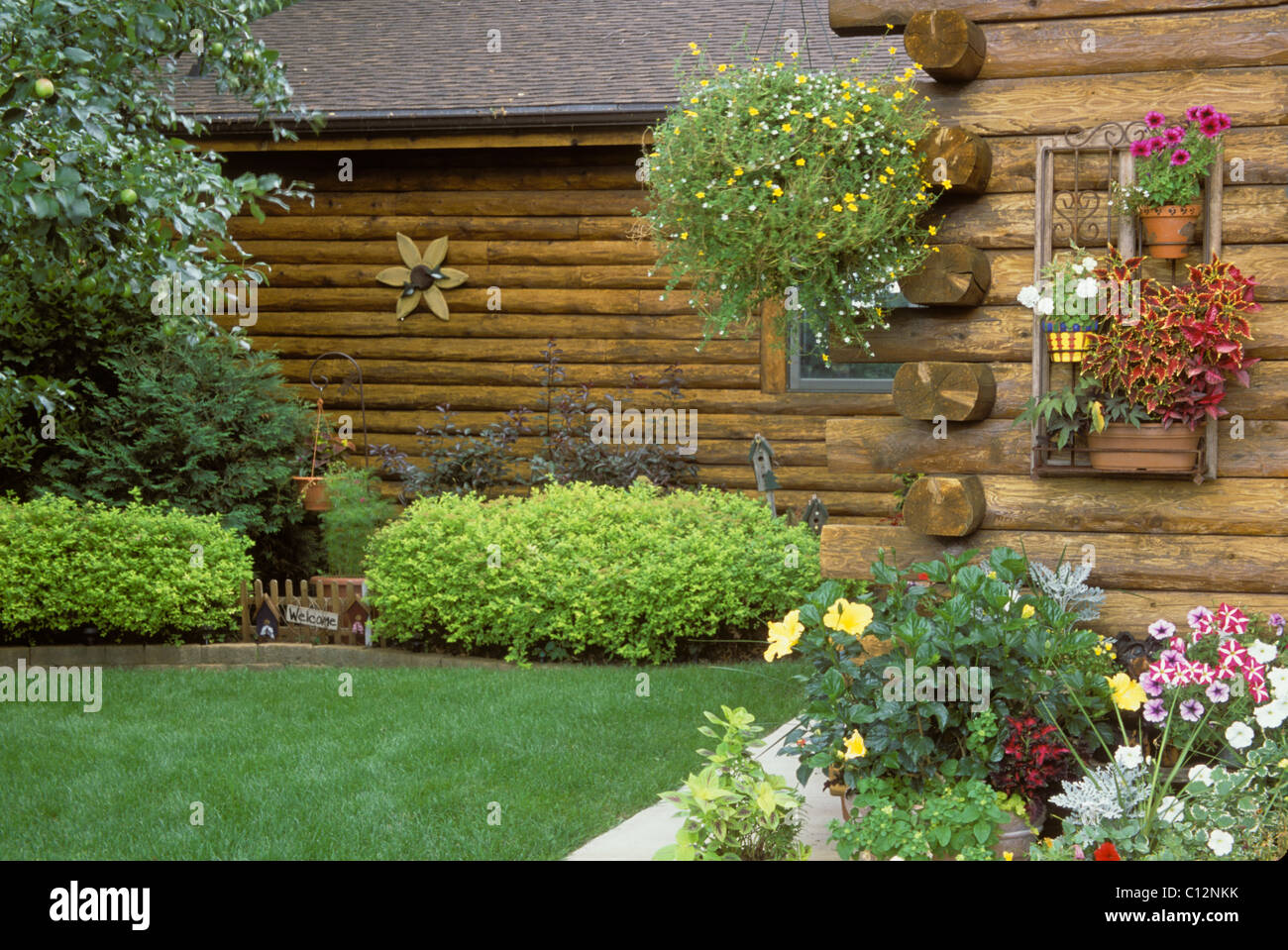 LOG HOME IN THE COUNTRY ACCENTED WITH SHRUBS AND CONTAINER PLANTS.  SUMMER.  AMERICA. Stock Photo