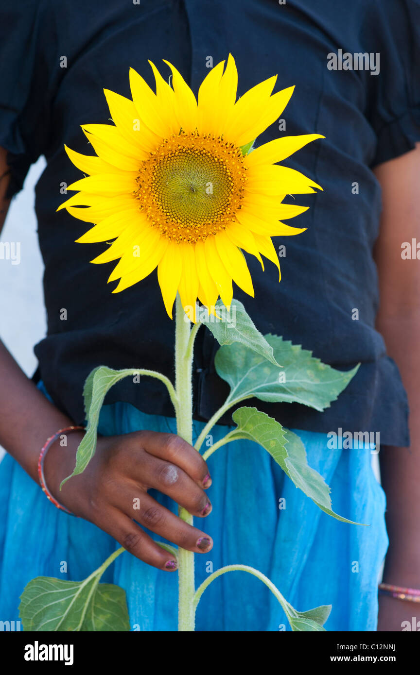 Young Indian girl holding sunflower. Andhra Pradesh, India Stock Photo