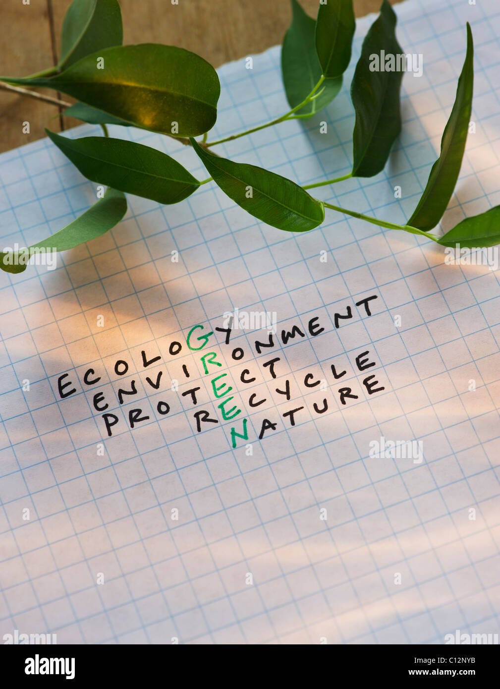 Crossword puzzle reading GREEN Stock Photo Alamy