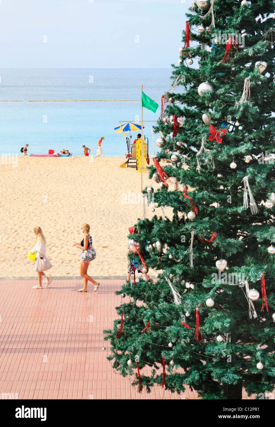 Christmas tree on beach in Spain Stock Photo Alamy