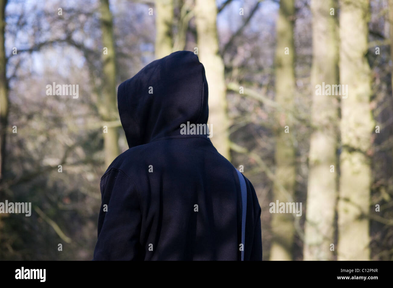 Young man with his hood-up walking through some woodland in the UK. Stock Photo