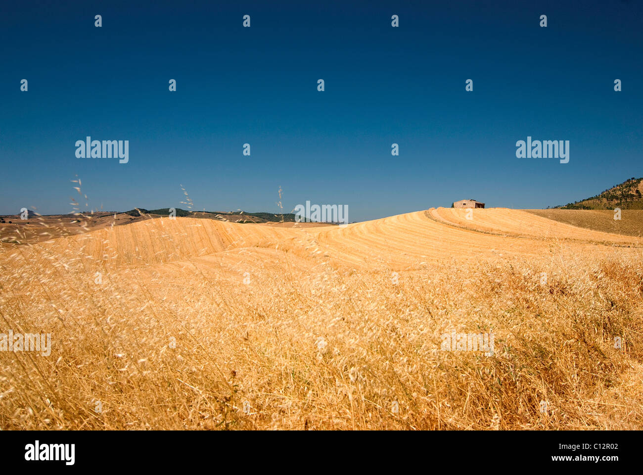Fields, Sícilia, Italy Stock Photo