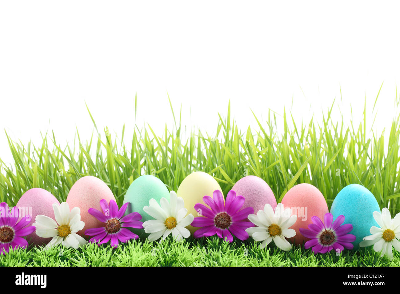 Row of Easter Eggs with Daisy on Fresh Green Grass Stock Photo