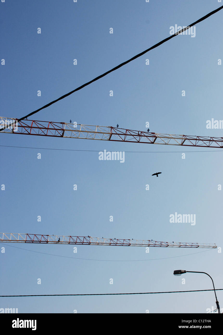 Bird in flight and industrial cranes against blue sky of Cork, Ireland Stock Photo