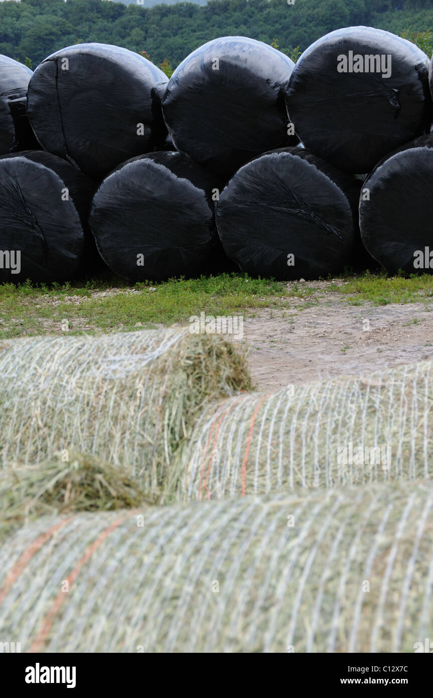 Hay bales before and after being wrapped in plastic Stock Photo