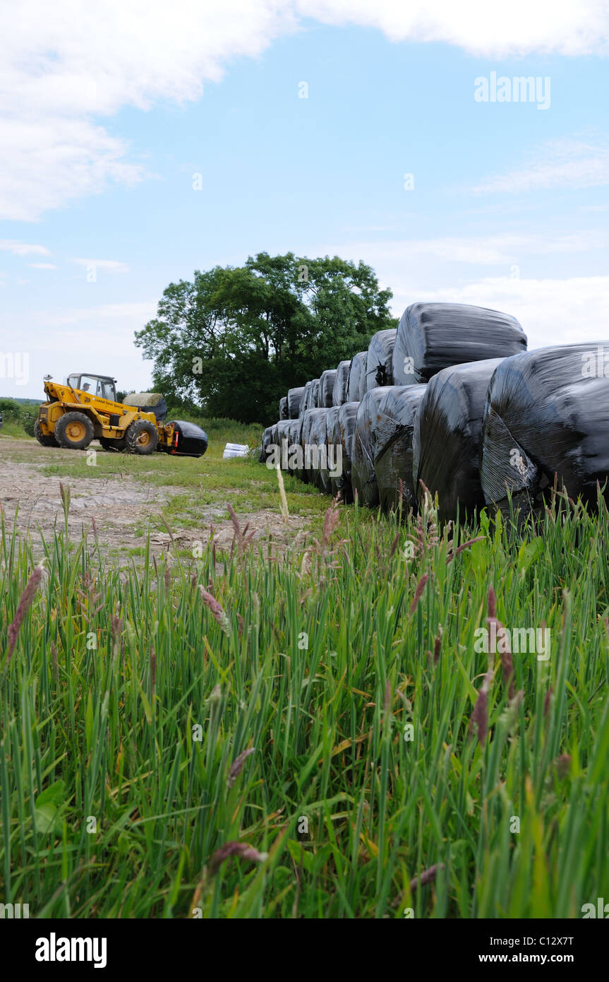 Hay bales wrapped in black plastic being moved by the farmer Stock Photo