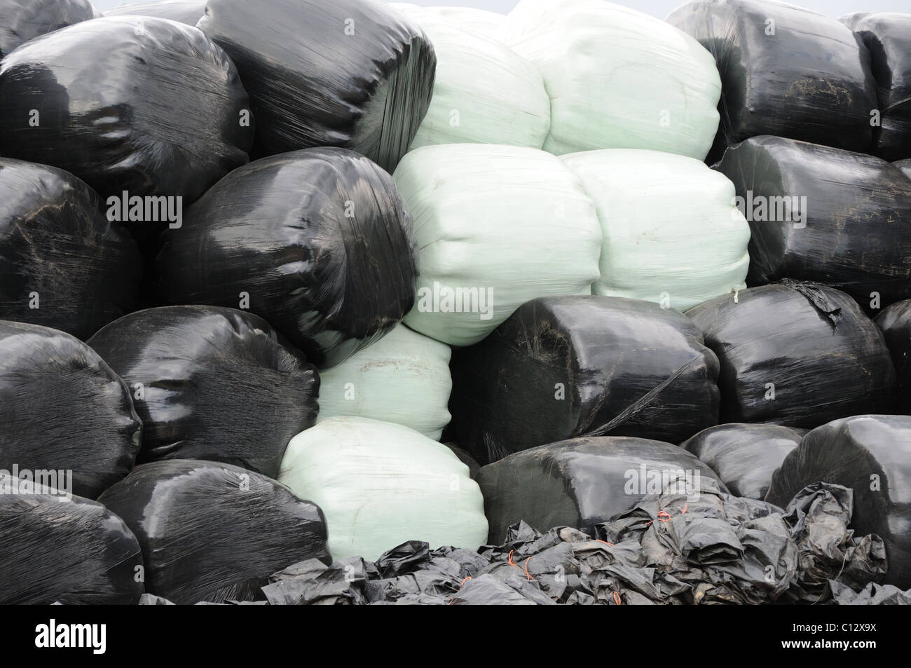 Plastic wrapped hay bales in two colours Stock Photo