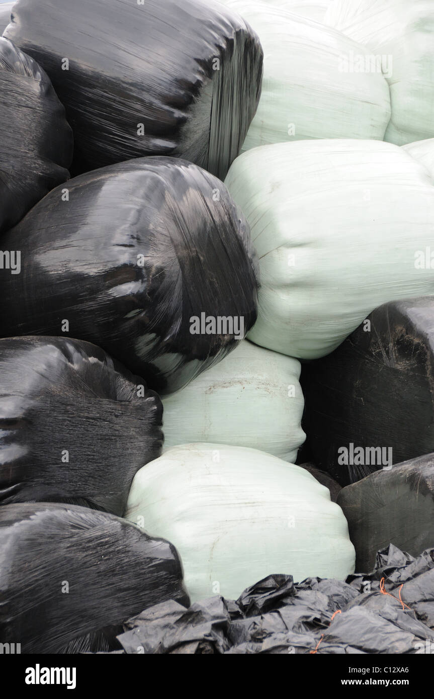 Plastic wrapped hay bales in two colours Stock Photo