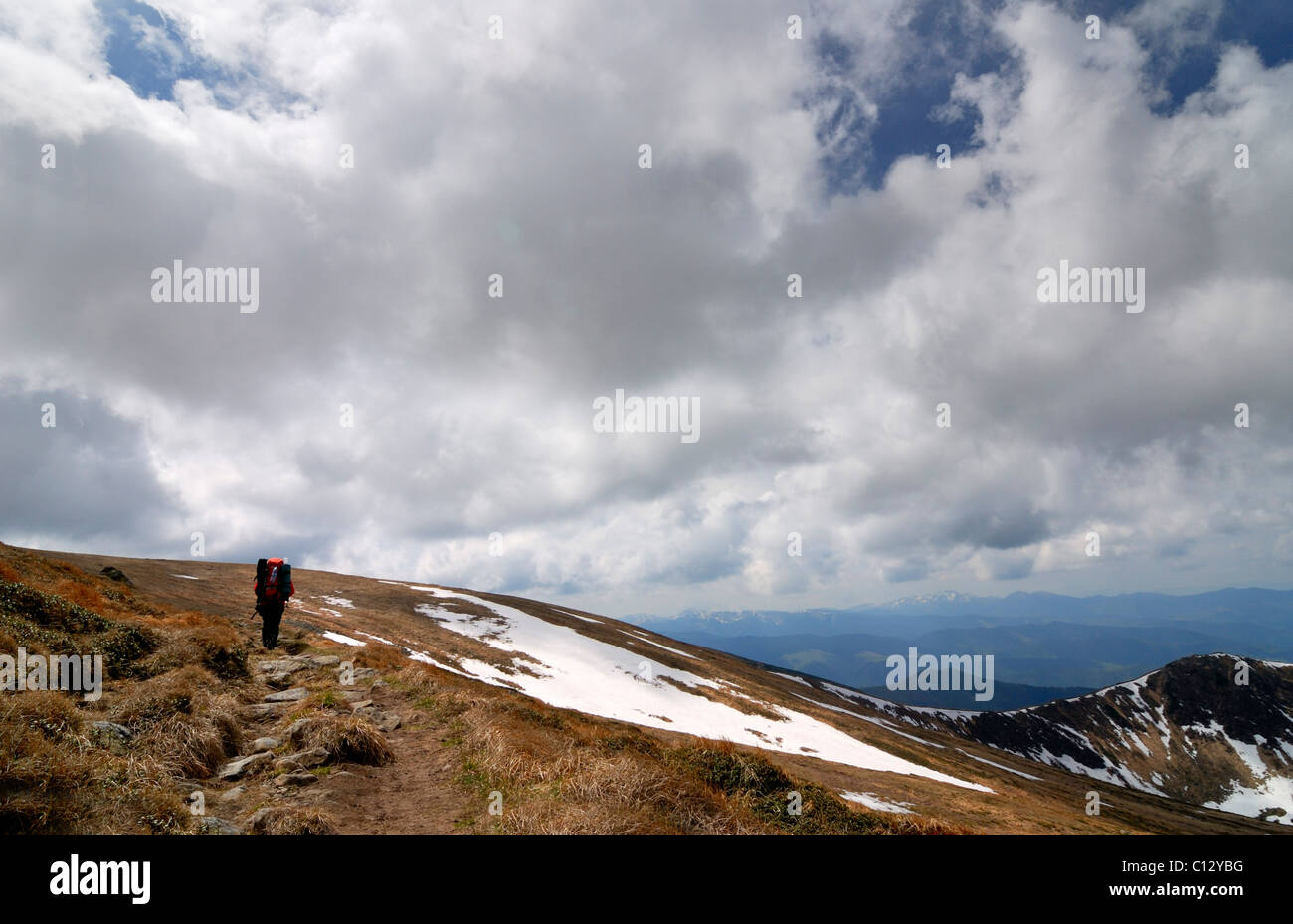 hiker on Chornogora Ridge of Carpathian Mountains Stock Photo