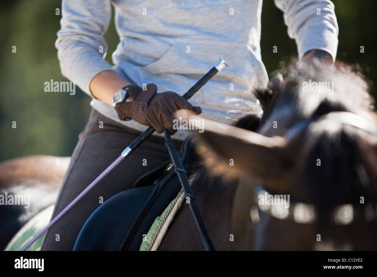 Horse whip woman hires stock photography and images Alamy