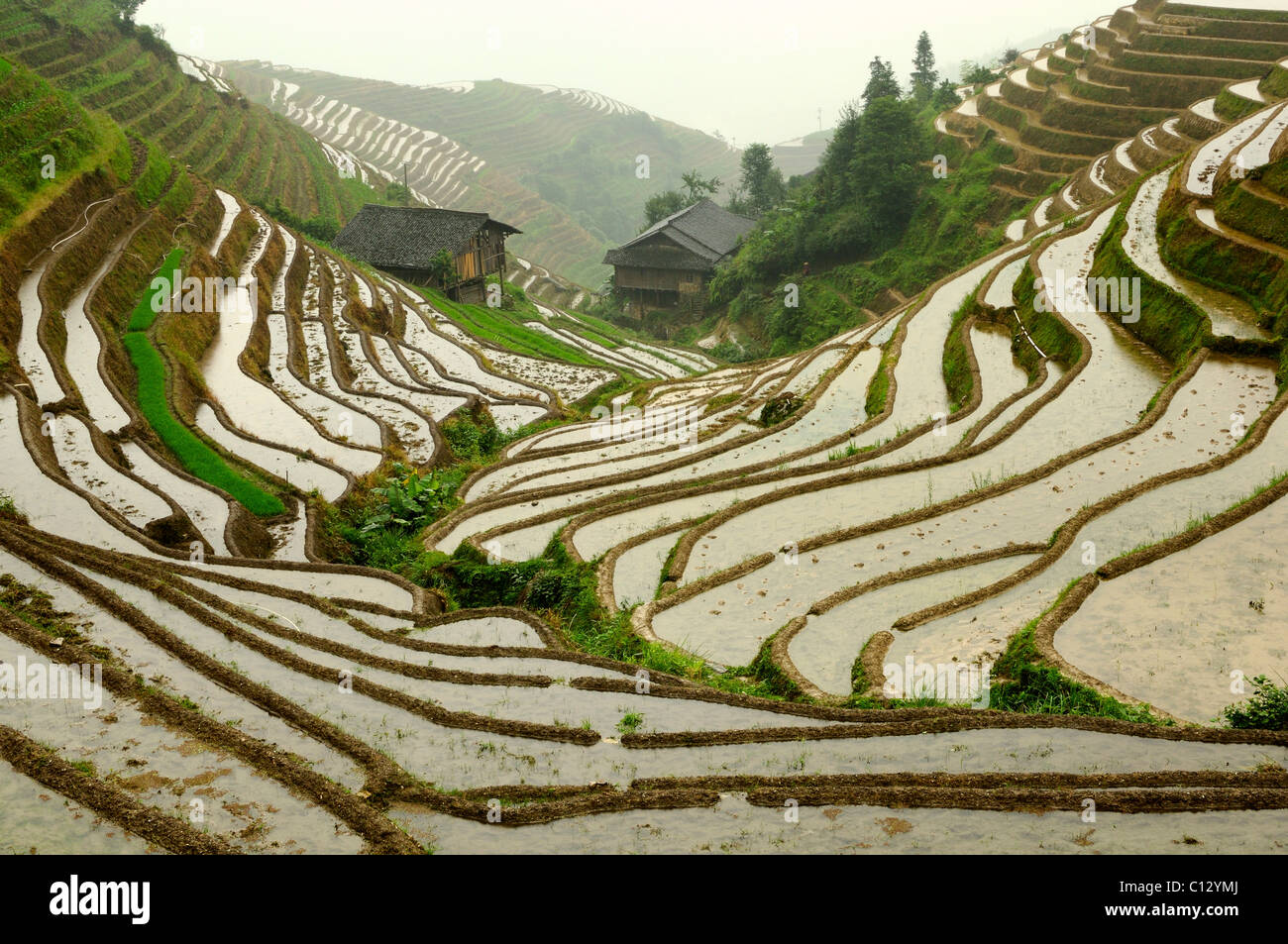 paddy fields near Ping An village in Guilin area of China Stock Photo