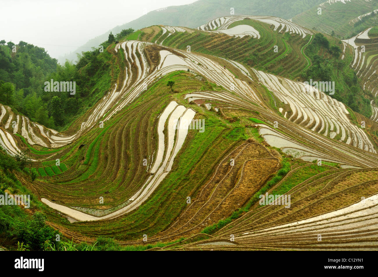 paddy fields near Ping An village in Guilin area of China Stock Photo