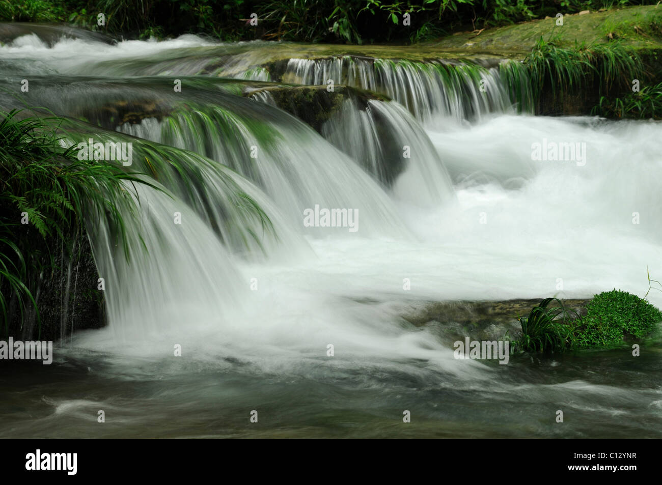 Golden Whip Stream in Wulingyuan National Park in Hunan province of China Stock Photo