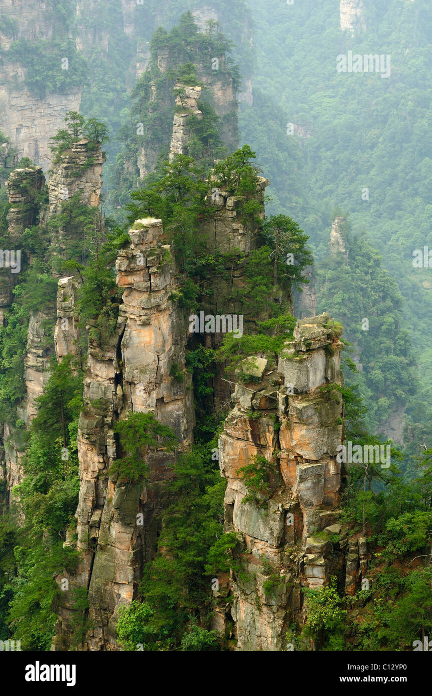 mountain landscape in Wulingyuan National Park in Hunan province of China Stock Photo