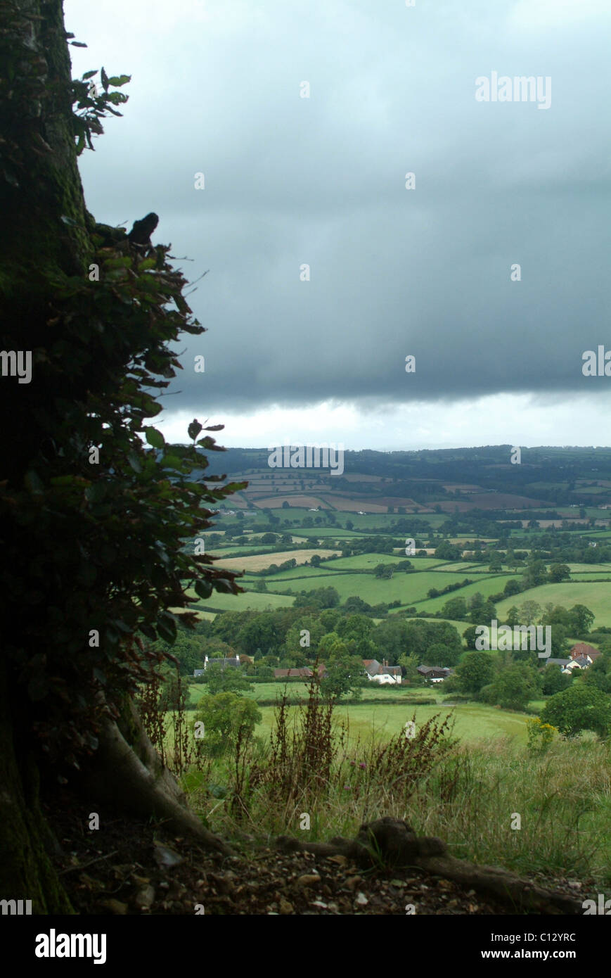 A countryside view - Devon Stock Photo - Alamy