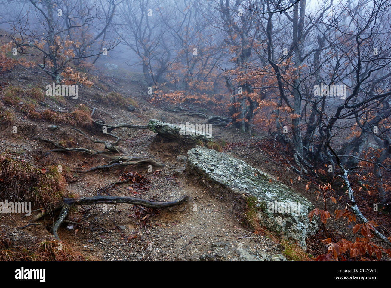 landscape in southern demergi mountain area of crimea Stock Photo