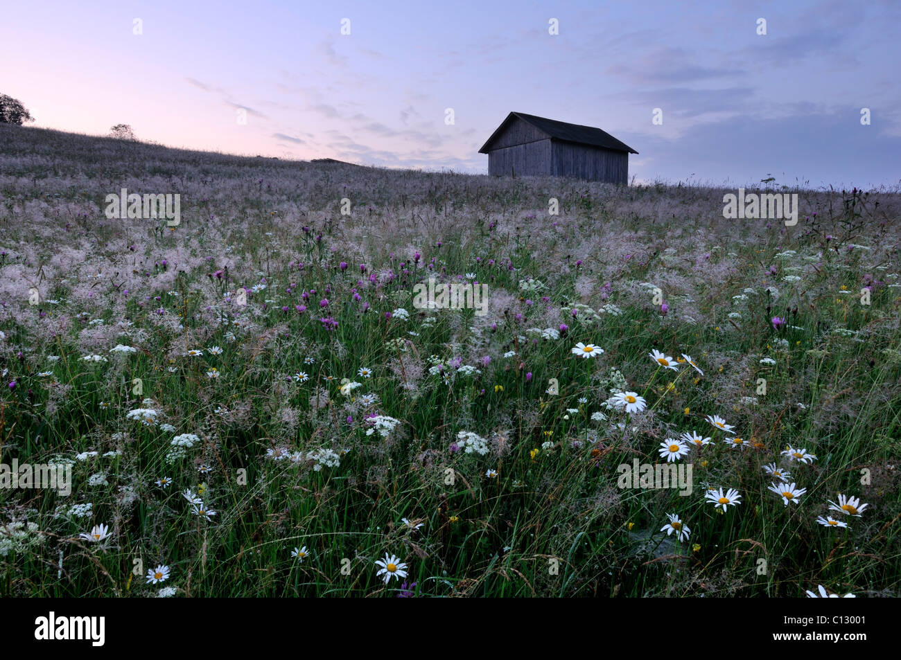 wooden hut on meadow at twilight near dzembronya in ukraine Stock Photo