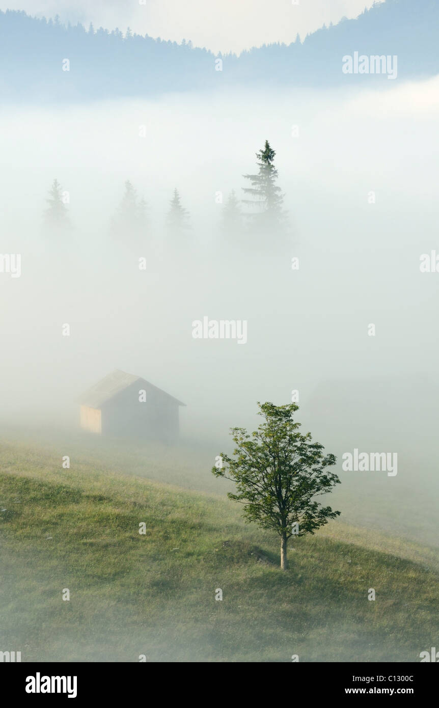 fog laying over dzembronya landscape in ukraine Stock Photo