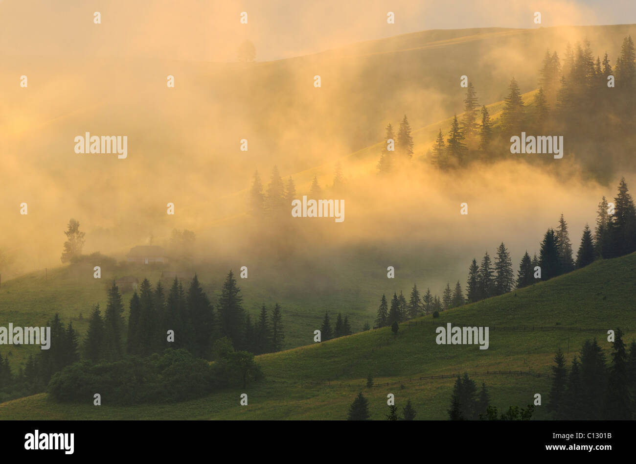 fog laying over dzembronya landscape in ukraine Stock Photo