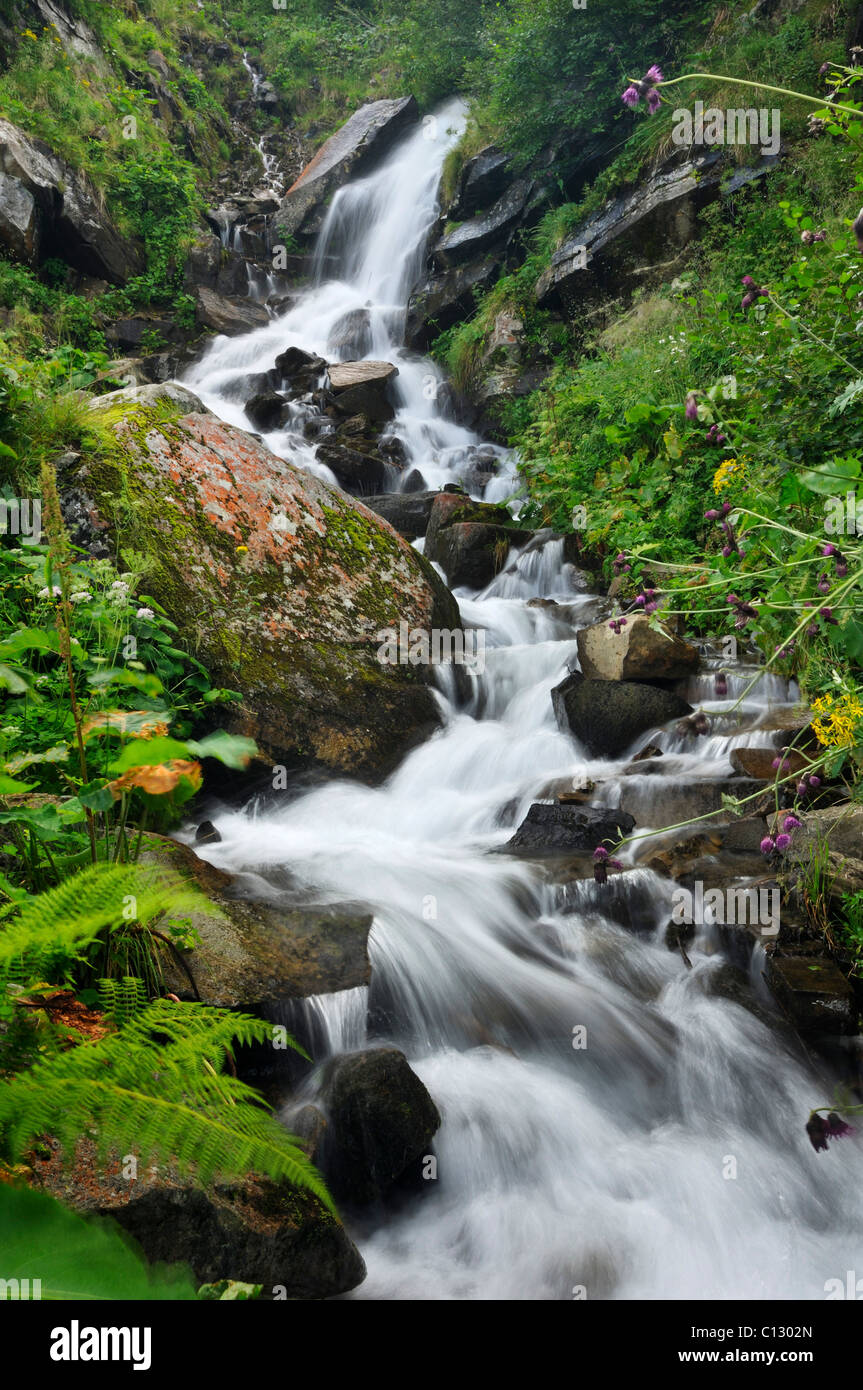 dzembronya waterfall in ukraine Stock Photo