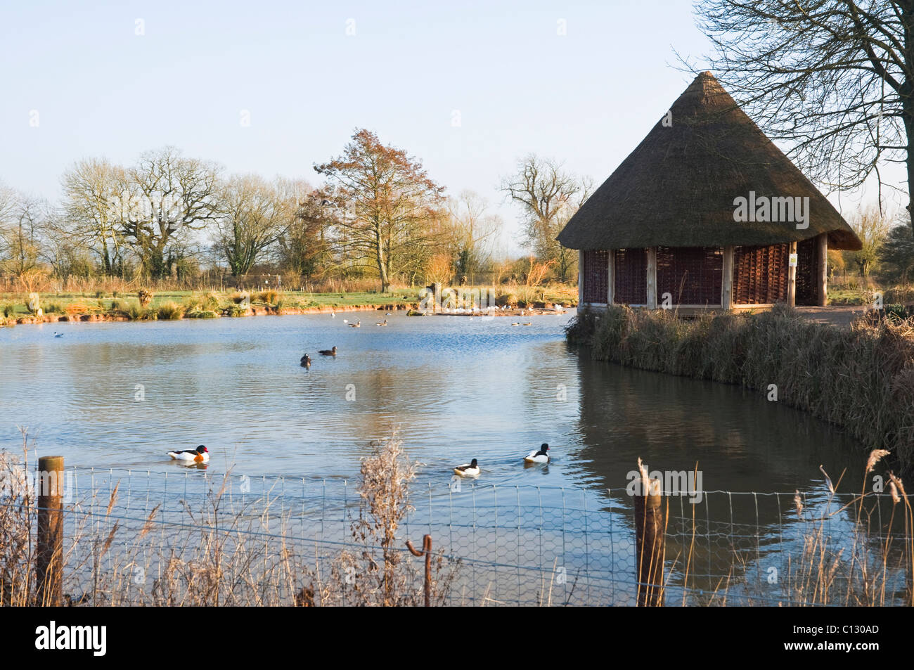 Small Lake and Birdwatchers Hut - Slimbridge, Wildfowl & Wetlands Trust, (WWT) Gloucestershire, England, UK. Stock Photo