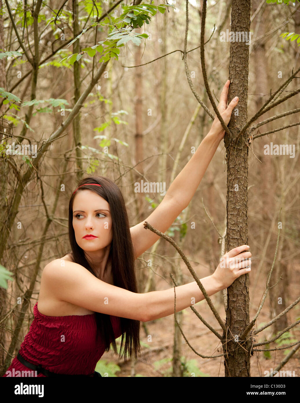 young woman in red dress in a forest Stock Photo - Alamy