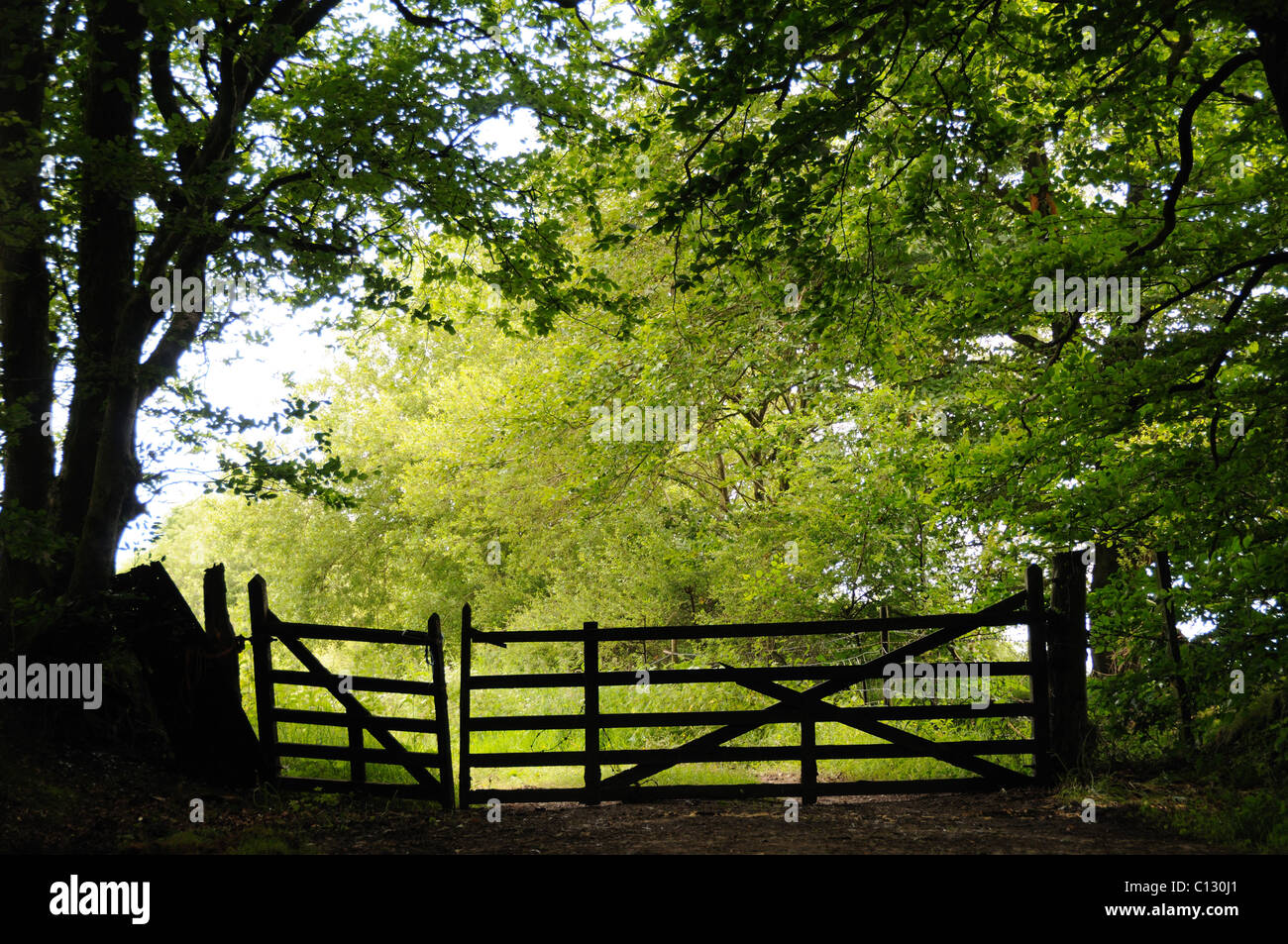 Rustic gates along a footpath Stock Photo - Alamy