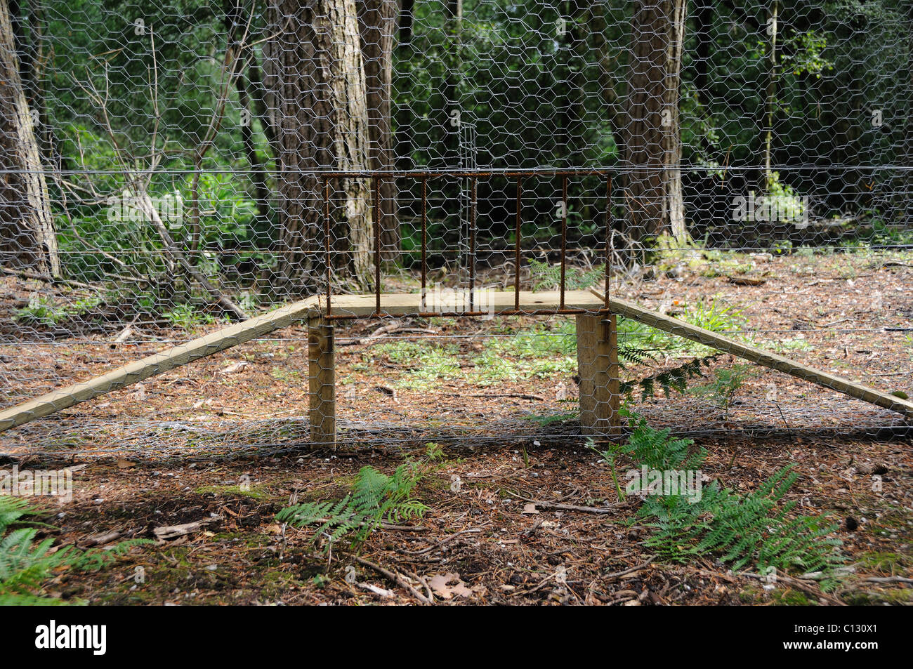 Fox proof re entry funnel on a pheasant pen Stock Photo