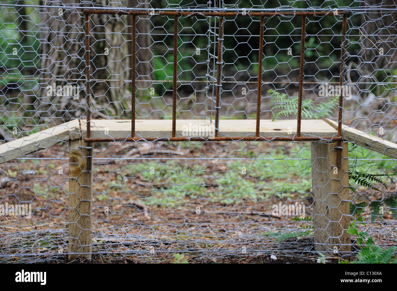 Fox proof re entry funnel on a pheasant pen Stock Photo