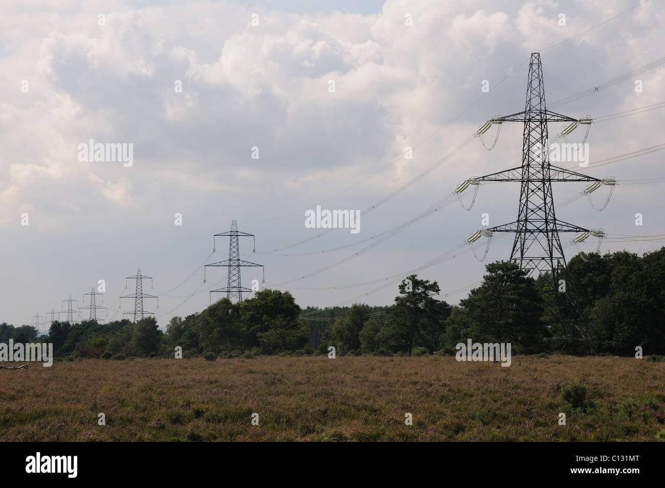 Pylons in the countryside Stock Photo