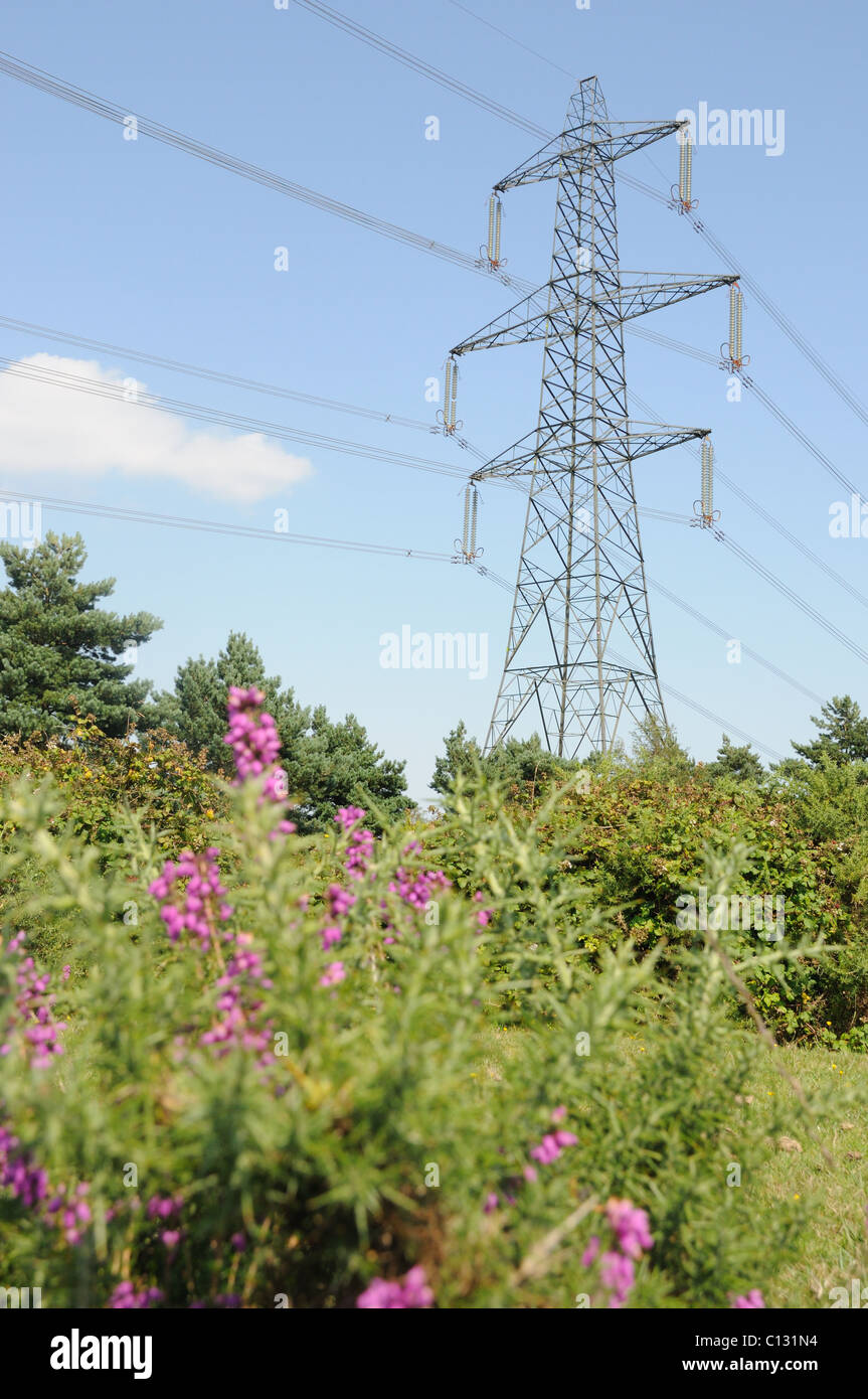 Pylons in the countryside Stock Photo