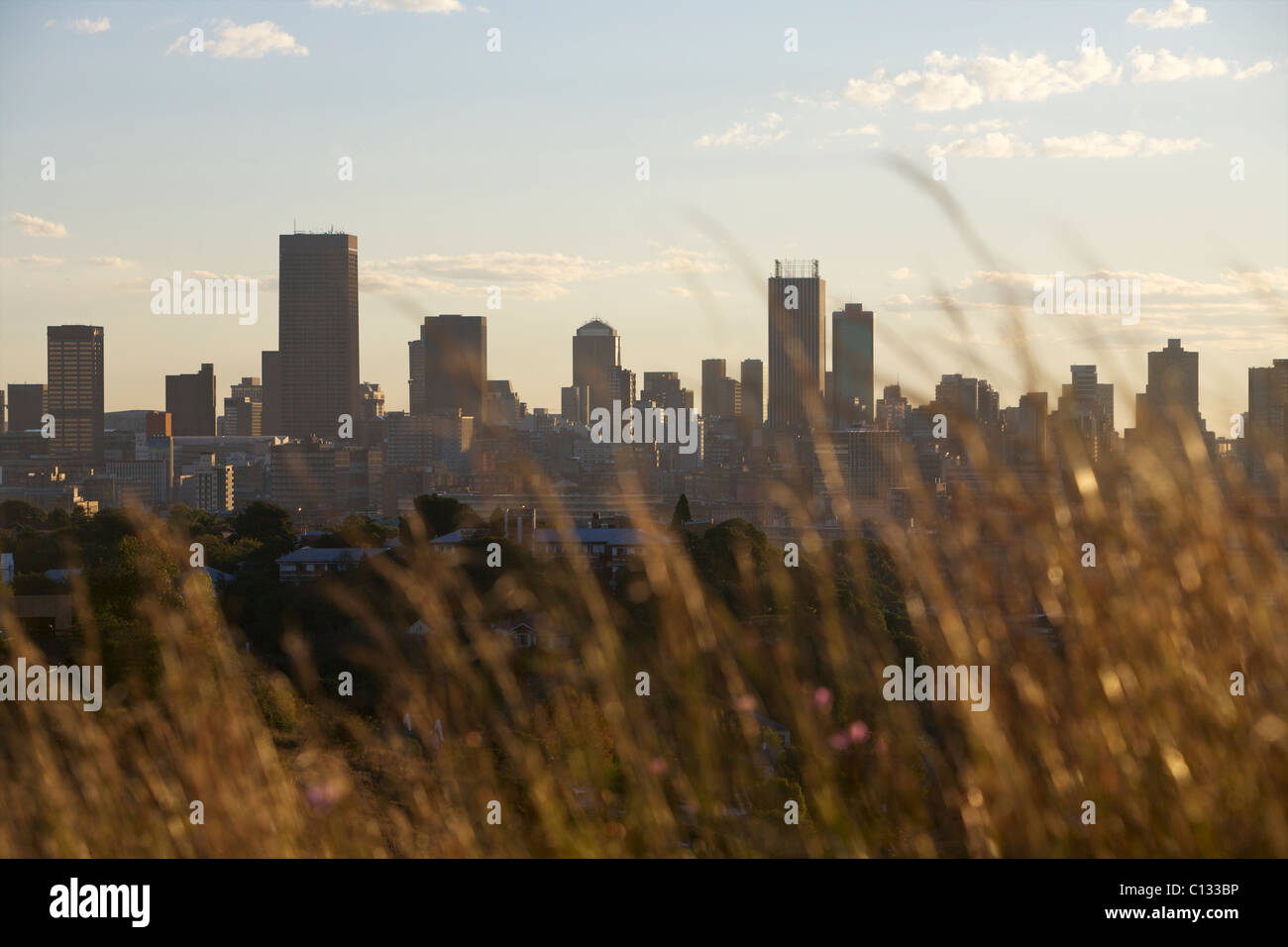 View of Johannesburg City Skyline, Gauteng Province, South Africa Stock Photo