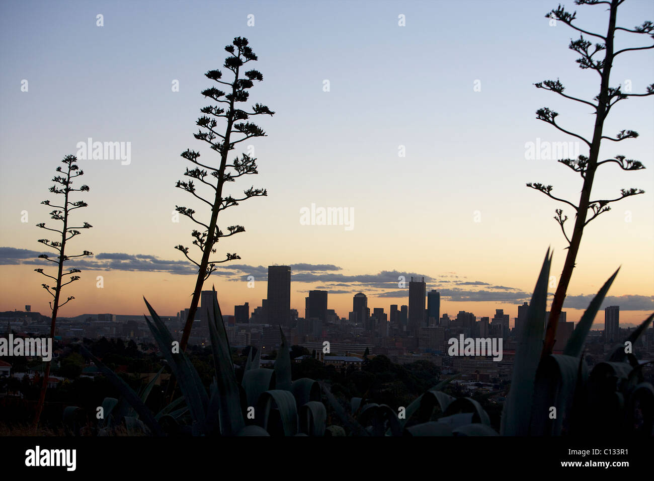 View of Johannesburg City Skyline, Gauteng Province, South Africa Stock Photo Alamy