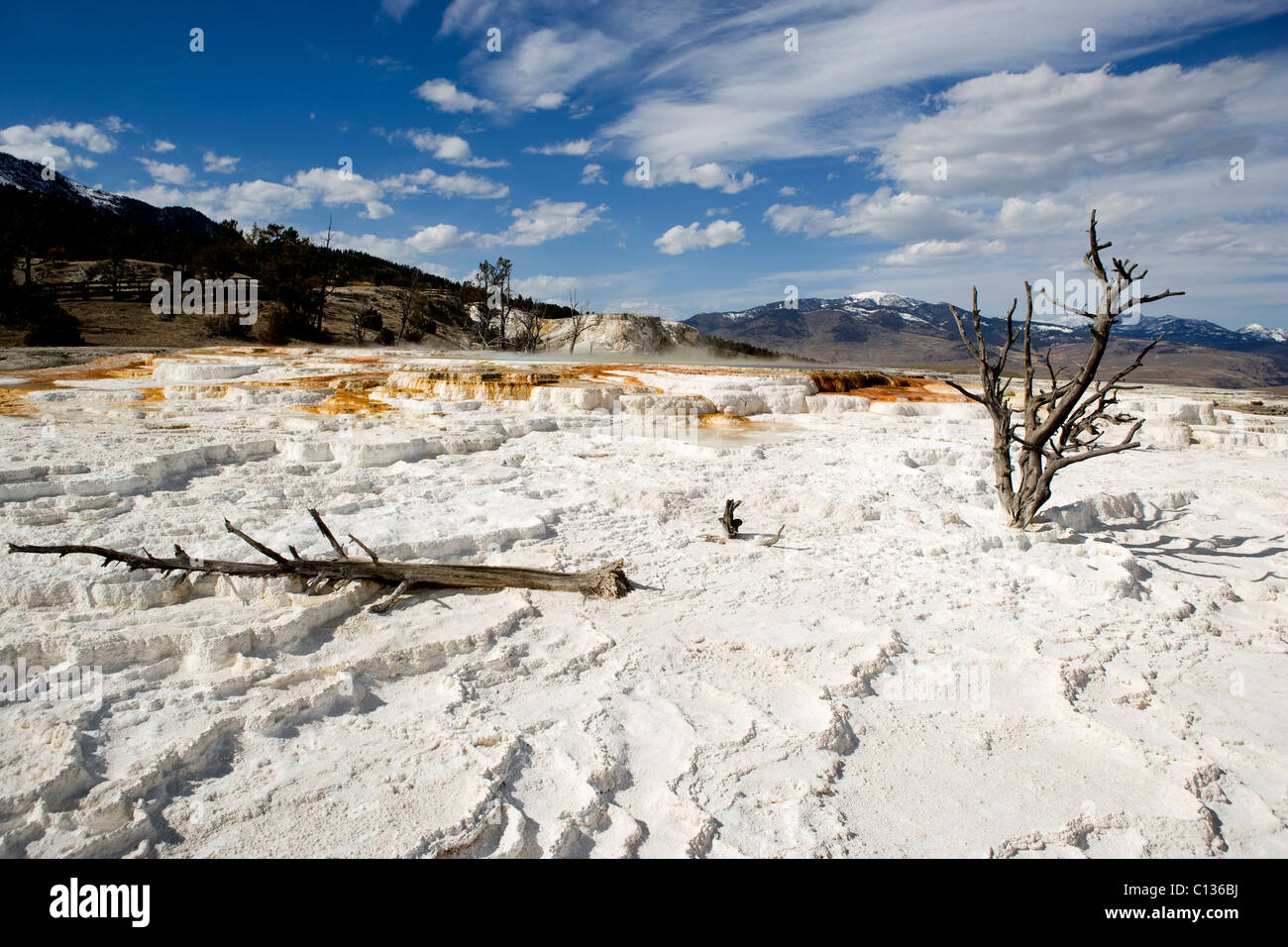 Mammoth Falls Yellowstone National Park,Wyoming Stock Photo
